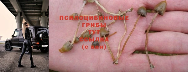 MDMA Premium VHQ Беломорск