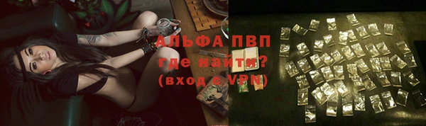 амф Белоозёрский