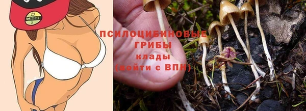 MDMA Premium VHQ Беломорск